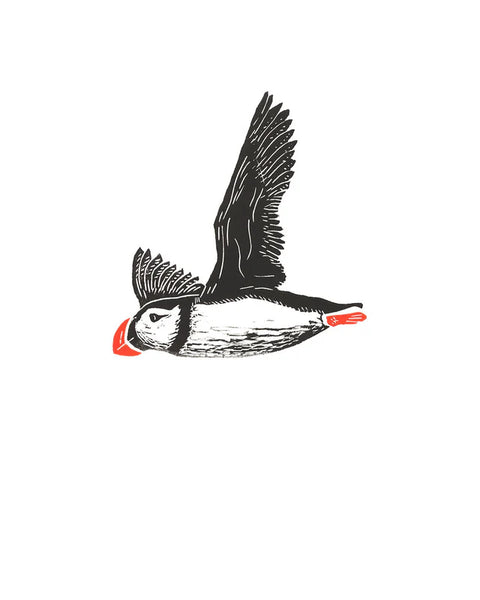 Atlantic Puffin (Left) 5x7