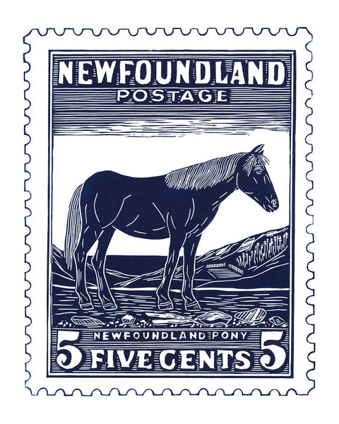 NL Pony 5x7