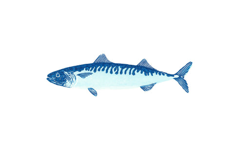 Mackerel Print 8x10