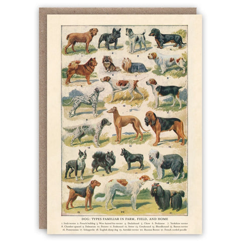 Dog Breeds Card