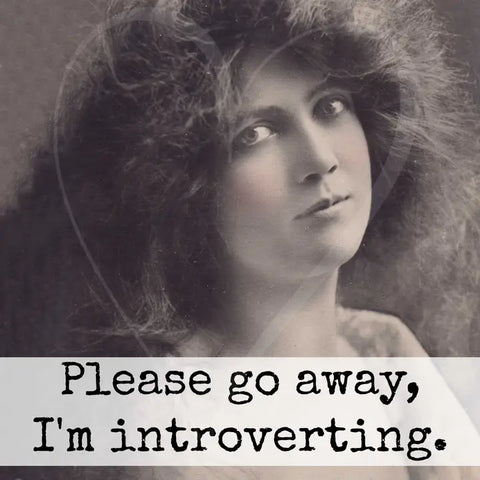 Please Go Away, I'm Introverting Magnet