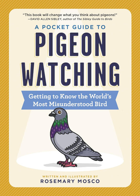 A Pocket Guide To Pigeon Watching