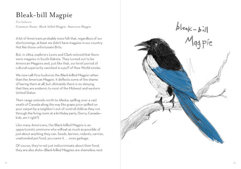 Field Guide To The Worst Birds Ever