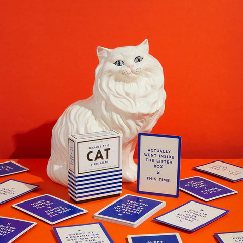 Because This Cat Is Embarrassing Card Deck