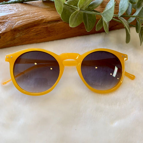 Boston Colors Sunglasses