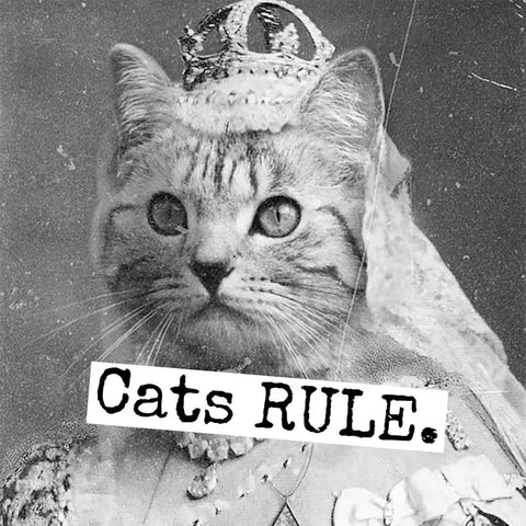Cats Rule Magnet