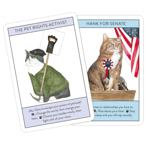 Cat Gurus Tarot Cards