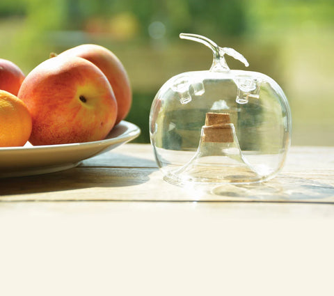 Apple Shaped Fruit Fly Trap