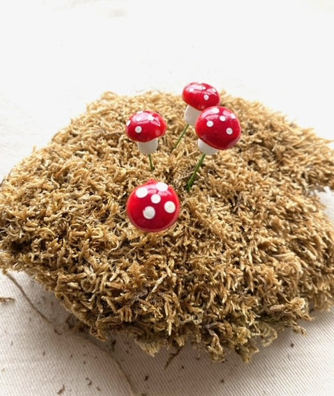 Tiny Toadstool Picks
