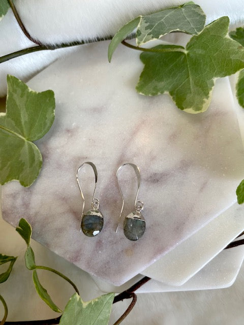 Pear Shaped Labradorite Earrings