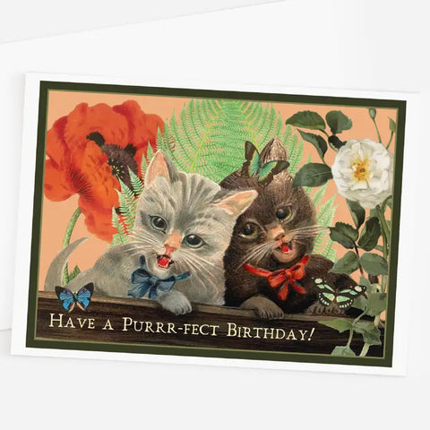 Have a Purrr-fect Birthday! Card