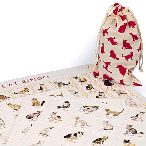 Cat Bingo