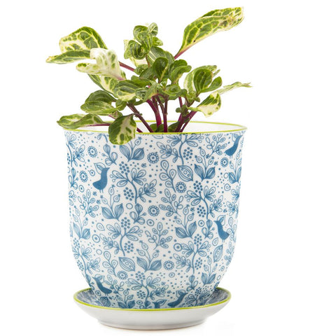 Pots & Planters