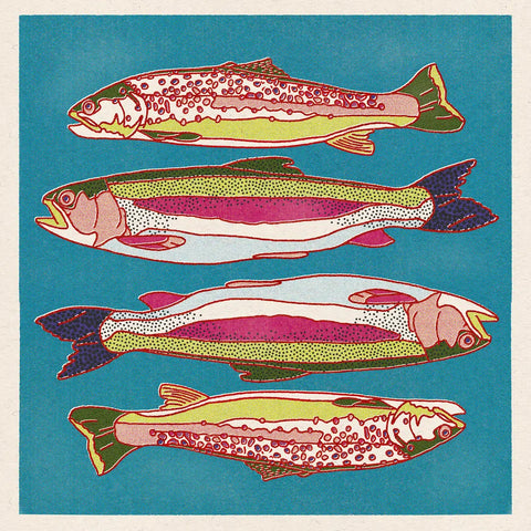 Rainbow Trout 12''x12'' Print