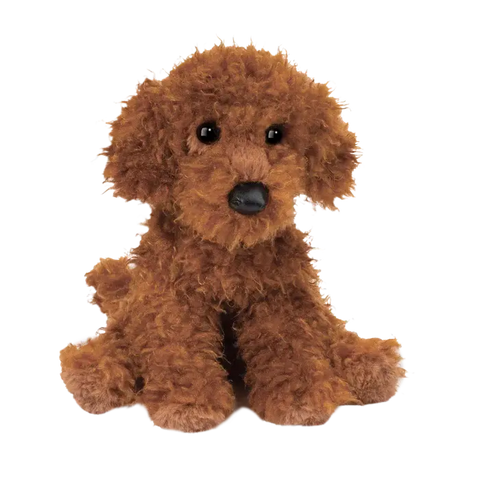 Ginger The Miniature Poodle