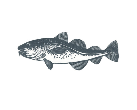 Codfish Print