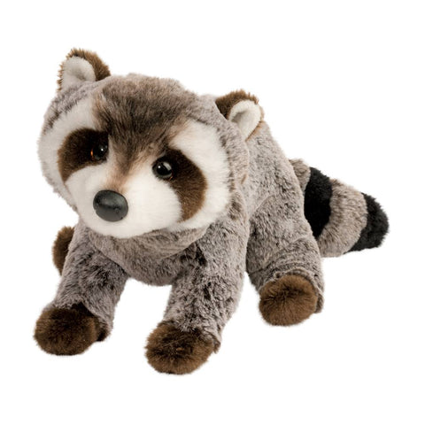 Ringo The Raccoon