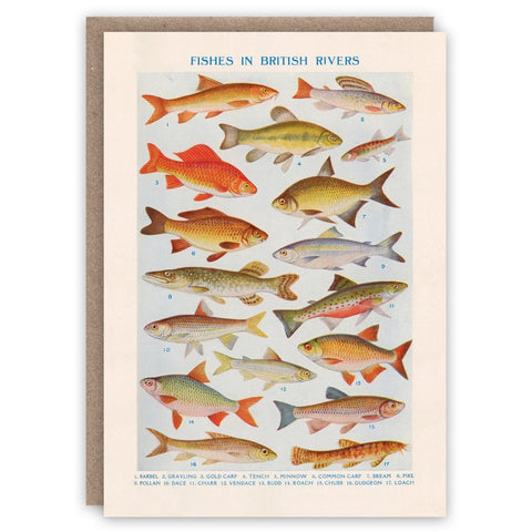 Fishes In British Rivers Card