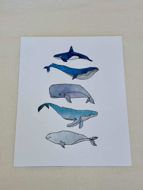 Whales of the World Print