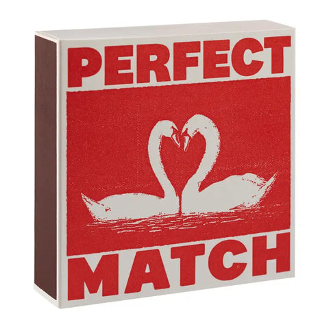 I Like You Swan Safety Matches