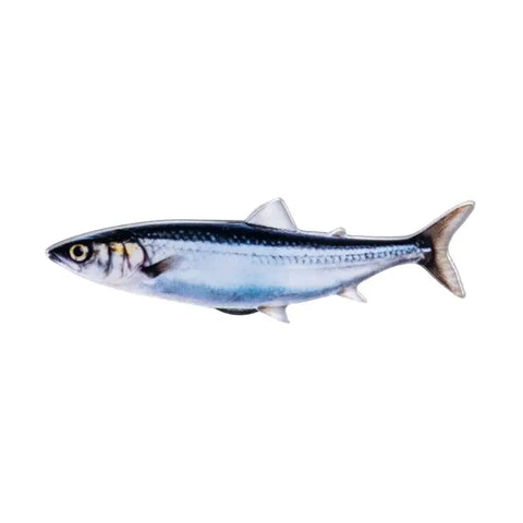 Fish Magnet Style 2