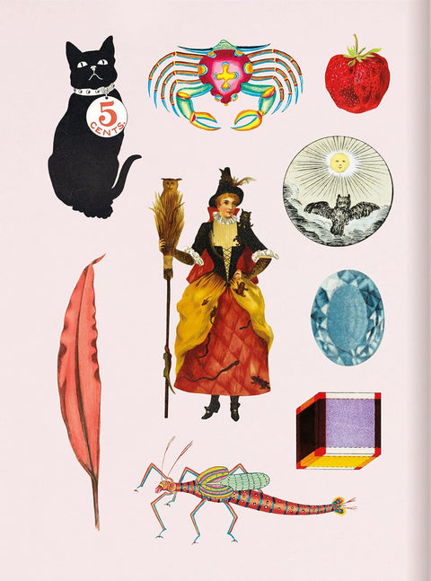 The Antiquarian: Biblophilia Sticker Book