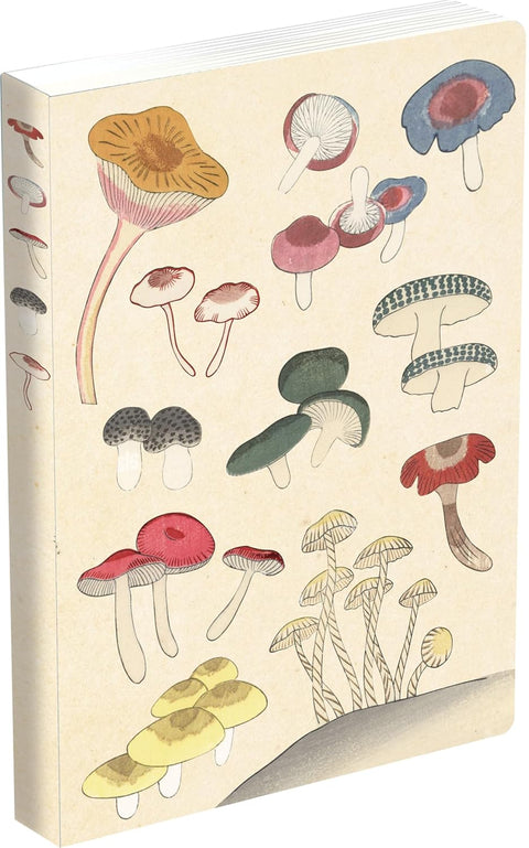 Healing Mushrooms Journal