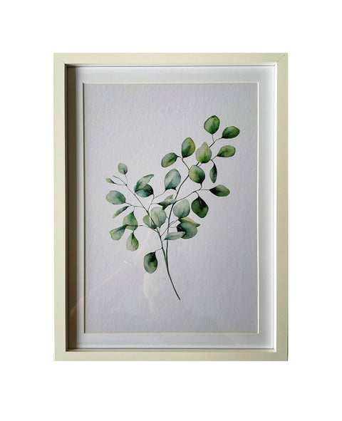 Framed Picture Of A Eucalyptus Branch