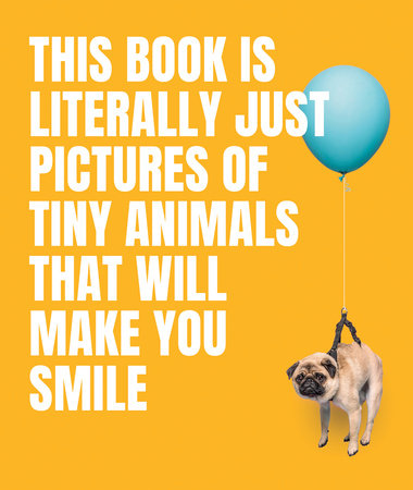 Tiny Animals Picture Book