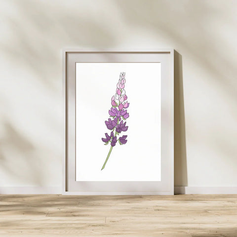 Single Lupin 8"x10" Print