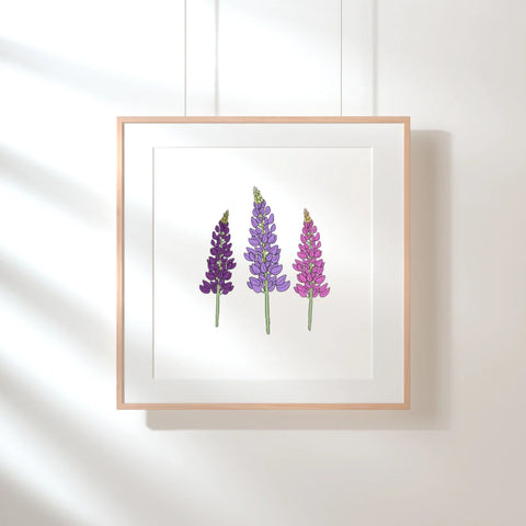 Three Lupins 8"x10" Print