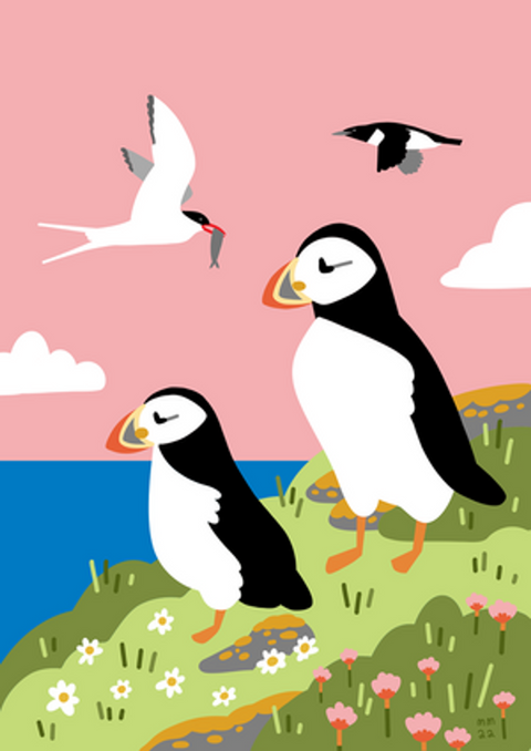 Puffin Pink Sky 8x10