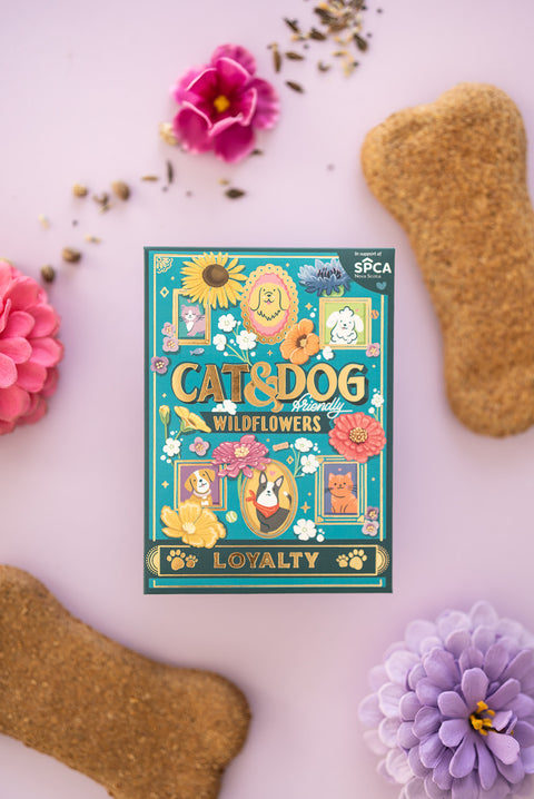 Cat & Dog Friendly Wildflowers Seed Packet