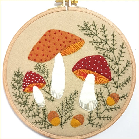 Toadstool Craft Kit