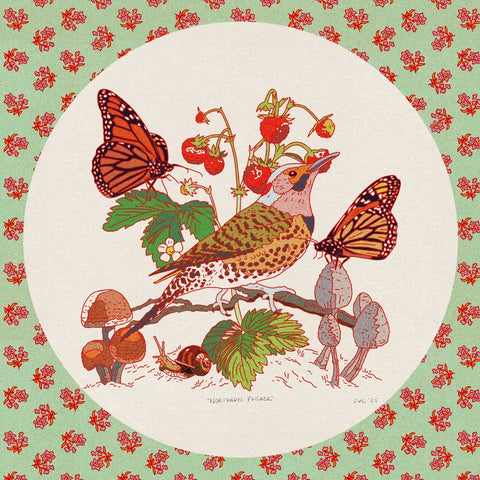 Northern Flicker 8''x8'' Print