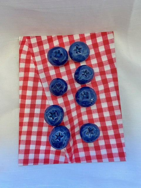Set of Blueberry Magnets