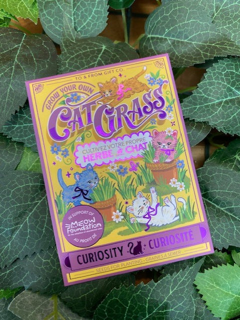 Cat Grass Seed Packet