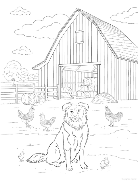 Western Romance Colouring & Sticker Book