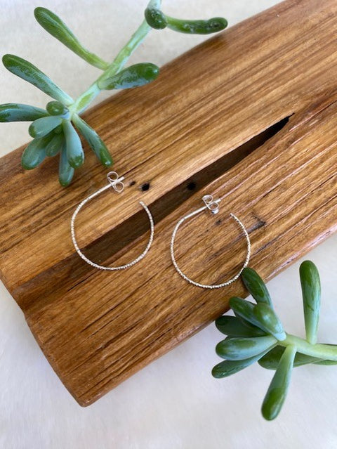 Dainty Hoops