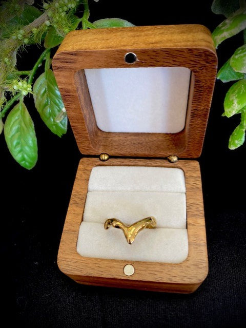 Dip Ring