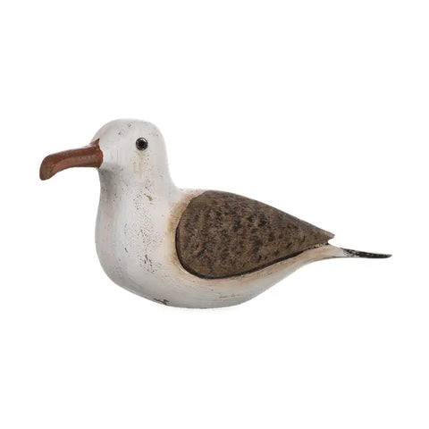 Relaxed Seagull