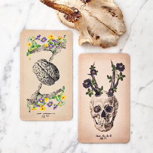 Antique Anatomy Tarot Deck