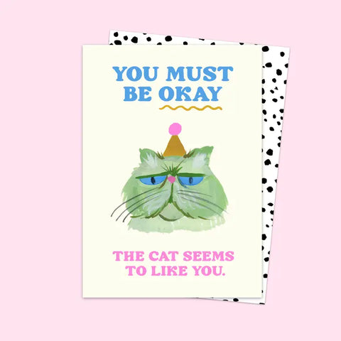 The Cat Seems to Like you
