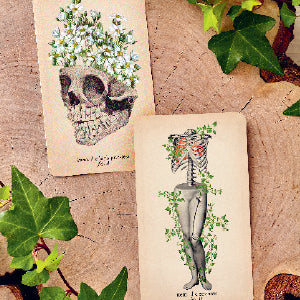 Antique Anatomy Tarot Deck