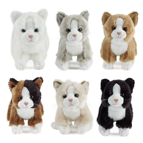 Cat Stuffies