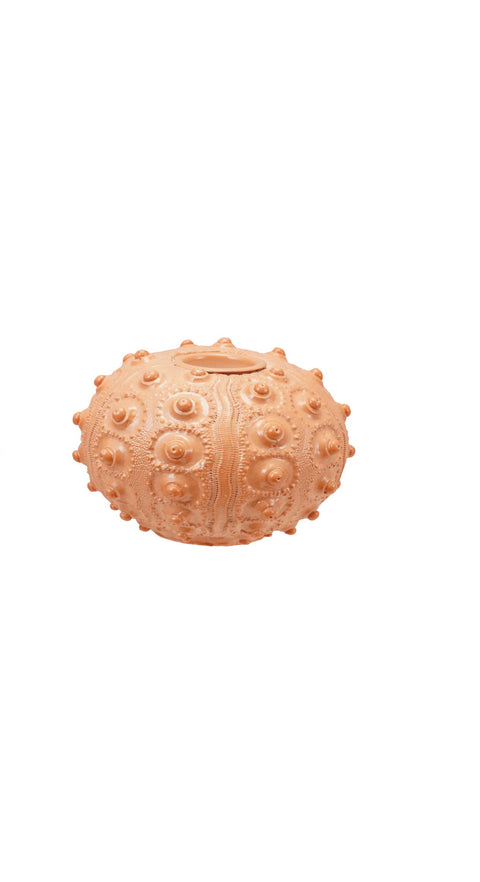 Sea Urchin Candle Holders
