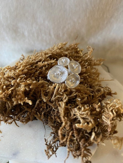 Textured Fungi Ring