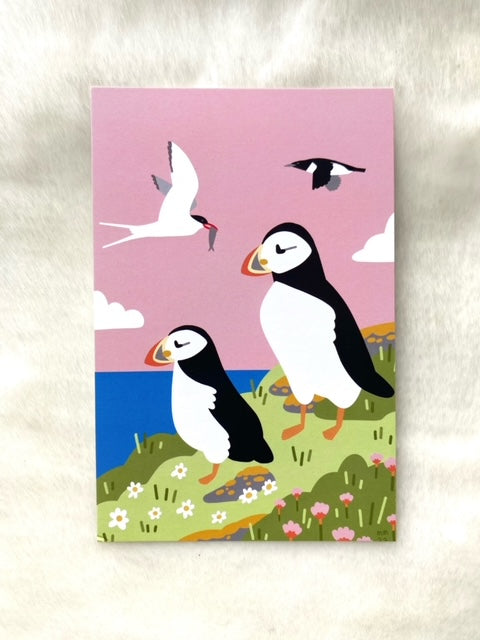 Pink Puffin Sky Postcard