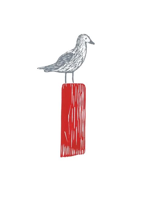 Seagull 5x7