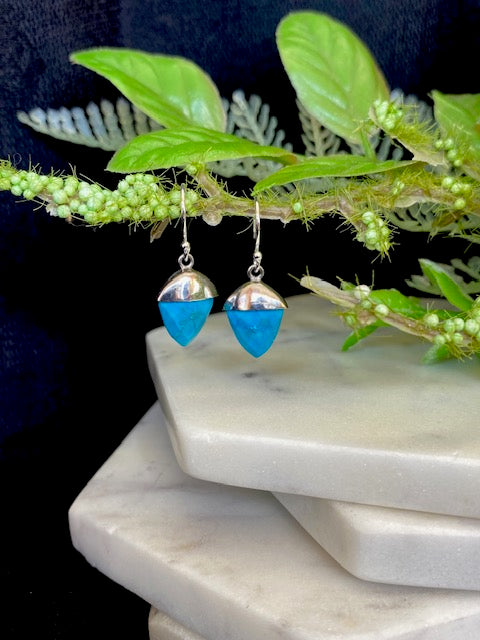 Triangle Turquoise Earrings